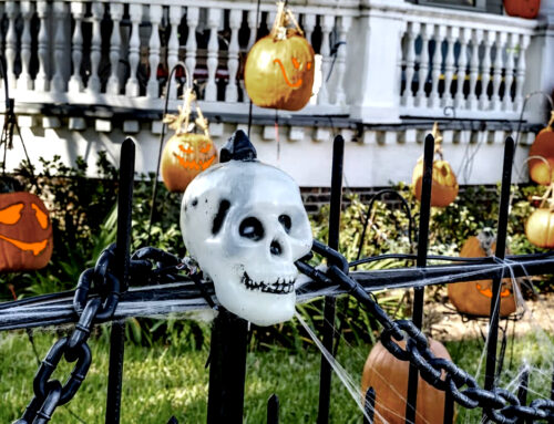 Fencing for a Frighteningly Good Halloween: Creative Ideas for Your Yard