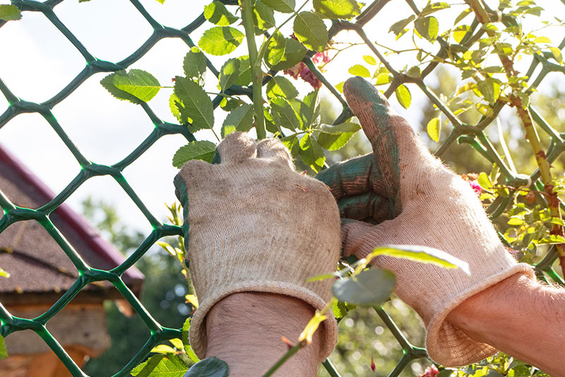 5 Tips to Maintain Your Chain Link Fence in Vancouver’s Climate – Image 2 5 Tips to Maintain Your Chain Link Fence in Vancouver’s Climate - Image 2
