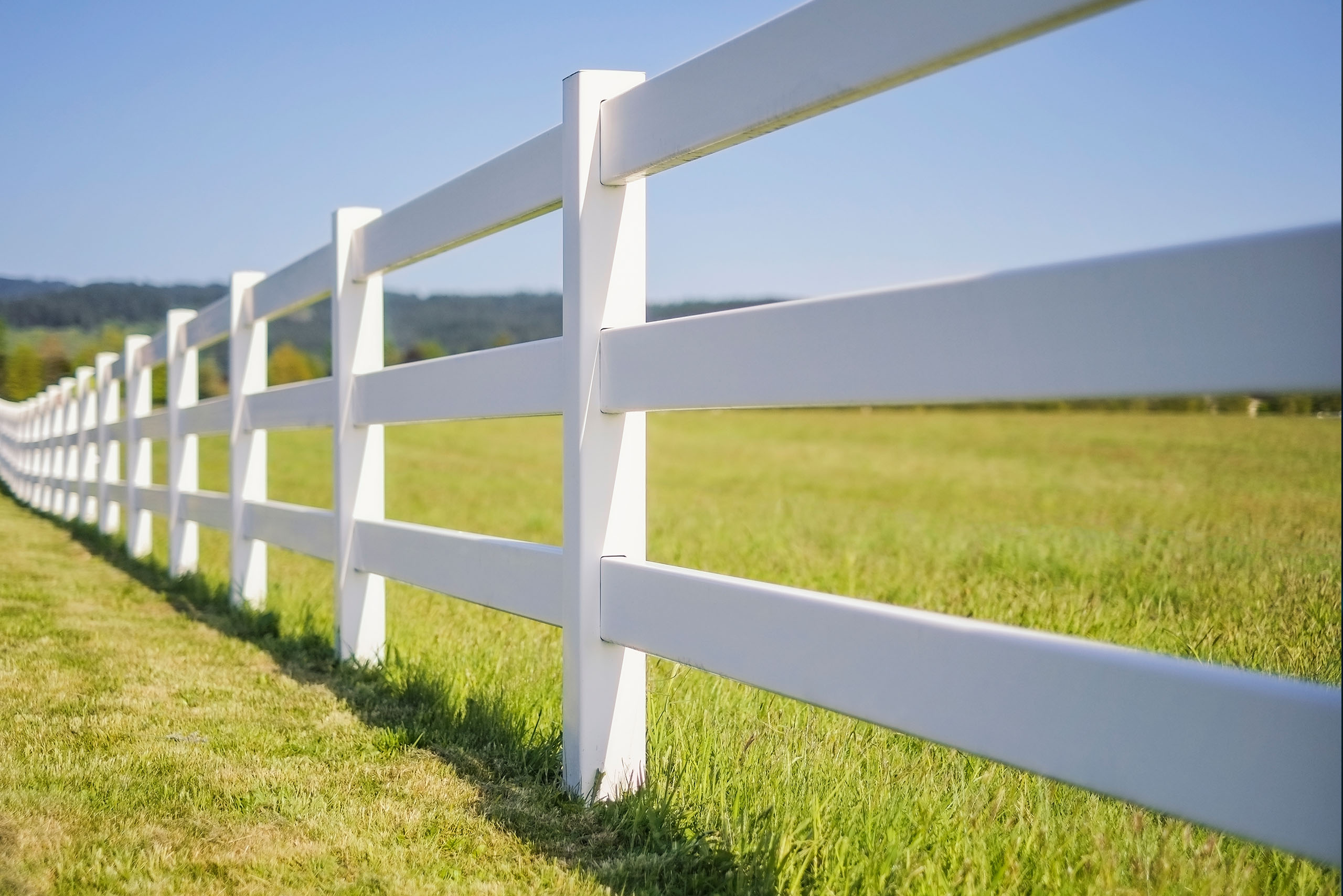 Fencing Safety Standards - Featured Image