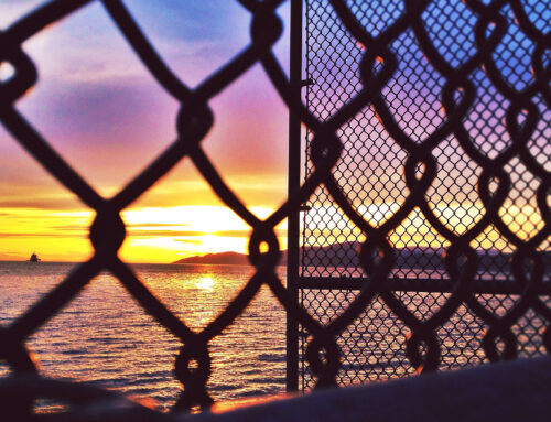 Best Fence Options for Flood-Prone and Coastal Areas in Richmond