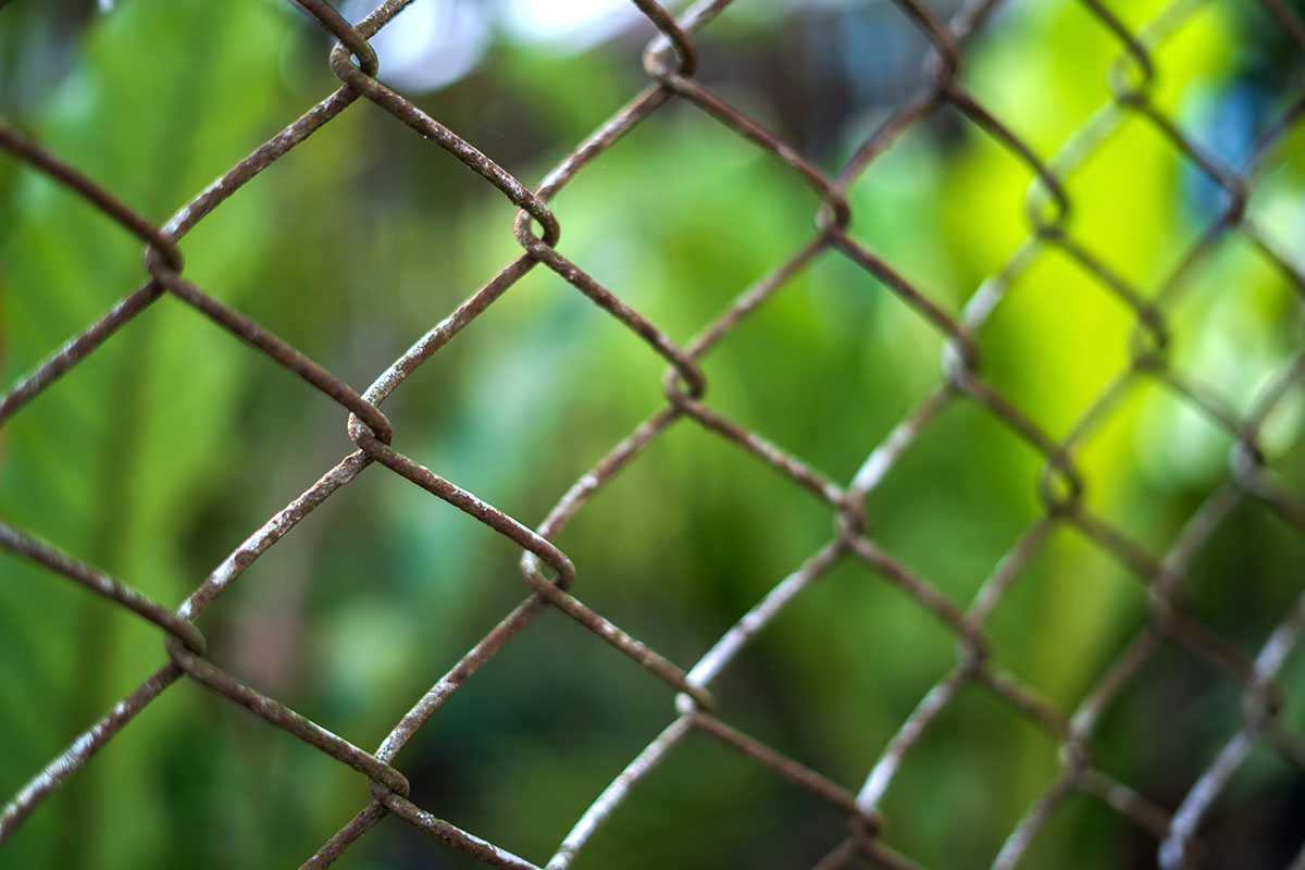 How Vancouver Rainfall Impacts Fence Lifespan and Material Choice - Image 2
