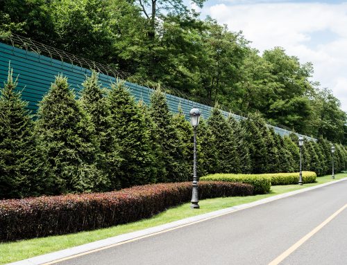Residential Noise Fence Solutions for Homes Near Busy Roads in the Lower Mainland