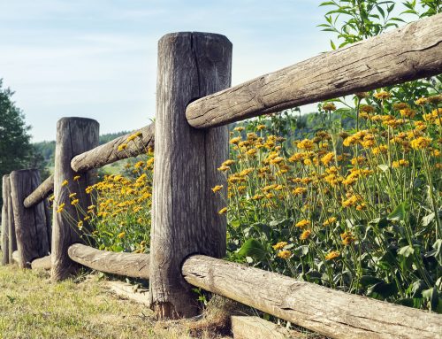 Split Rail Fencing 101: A Complete Guide for BC Property Owners