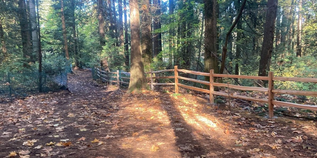 Split Rail Fencing 101 - Image 1