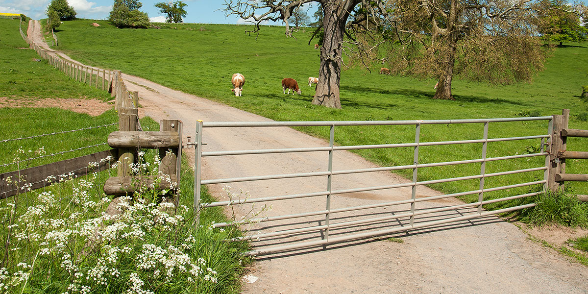 How to Choose the Right Driveway Gate for Your Vancouver Property - Image 2