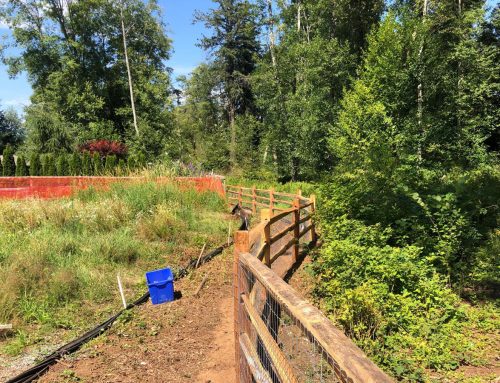 Residential Split Rail